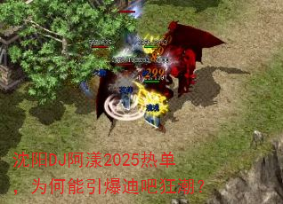 ����DJ����2025�ȵ���Ϊ���������ϰɿ񳱣�