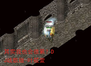��ʵ��Ҳ����ۣ�DJս���-Ҷ����
