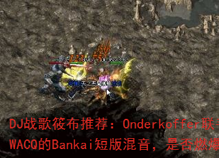 DJս���㲼�Ƽ���Onderkoffer����SWACQ��Bankai�̰�������Ƿ�ȼ��ս����
