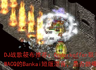 DJս���㲼�Ƽ���Onderkoffer����SWACQ��Bankai�̰�������Ƿ�ȼ��ս����
