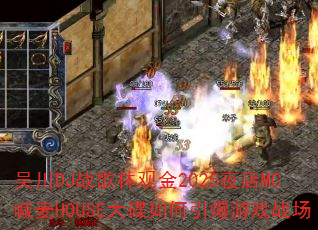 �⴨DJս���ֹ۽�2025ҹ��MC����HOUSE������������Ϸս��