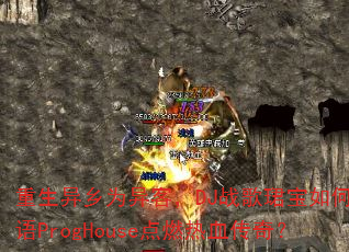 ��������Ϊ��ͣ�DJս��B������ù���ProgHouse��ȼ��Ѫ���棿