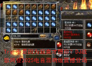 Try-������Ϊ��į�����㣿DJս�谢��2025����������𺳵ǳ�