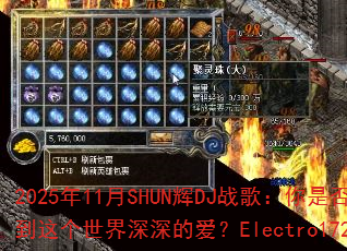 2025��11��SHUN��DJս�裺���Ƿ���ܵ������������İ���Electro172MIX