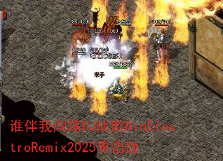 ˭���Ҵ���DJս��BinElectroRemix2025�����