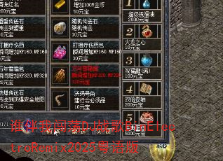 ˭���Ҵ���DJս��BinElectroRemix2025�����
