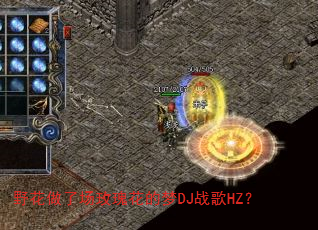 Ұ�����˳�õ�廨����DJս��HZ��