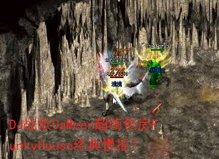 DJ战歌CaMeen超嗨包房FunkyHouse经典慢摇? DJ战歌CaMeen超嗨包房FunkyHouse经典慢摇?