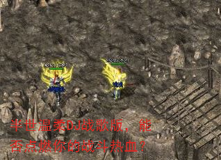 ��������DJս��棬�ܷ��ȼ���ս����Ѫ��