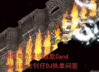2025粤语伤感战歌Candy主打四会钊仔DJ热单问答 2025粤语伤感战歌Candy主打四会钊仔DJ热单问答