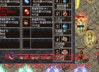 �Ų�������»�����̫�����㣿2025ȫ����Ѫ����ս���𺳵ǳ�