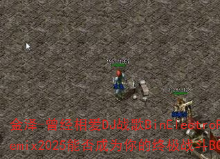 ����-�����మDJս��BinElectroRemix2025�ܷ��Ϊ����ռ�ս��BGM��
