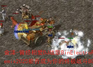 ����-�����మDJս��BinElectroRemix2025�ܷ��Ϊ����ռ�ս��BGM��