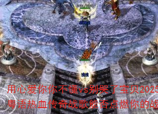 ���İ����㲻��vs����˱���2025��������Ѫ����ս���ܷ��ȼ���ս��֮�ꣿ
