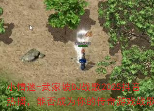 小情迷-武家坡DJ战歌2025抖音热播,能否成为你的传奇游戏战歌? 小情迷-武家坡DJ战歌2025抖音热播,能否成为你的传奇游戏战歌?