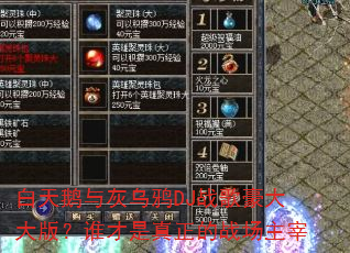 白天鹅与灰乌鸦DJ战歌豪大大版?谁才是真正的战场主宰 白天鹅与灰乌鸦DJ战歌豪大大版?谁才是真正的战场主宰