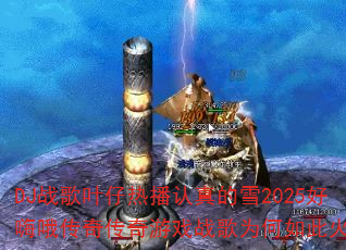 DJս��Ҷ���Ȳ������ѩ2025����Ŷ���洫����Ϸս��Ϊ����˻𱬣�